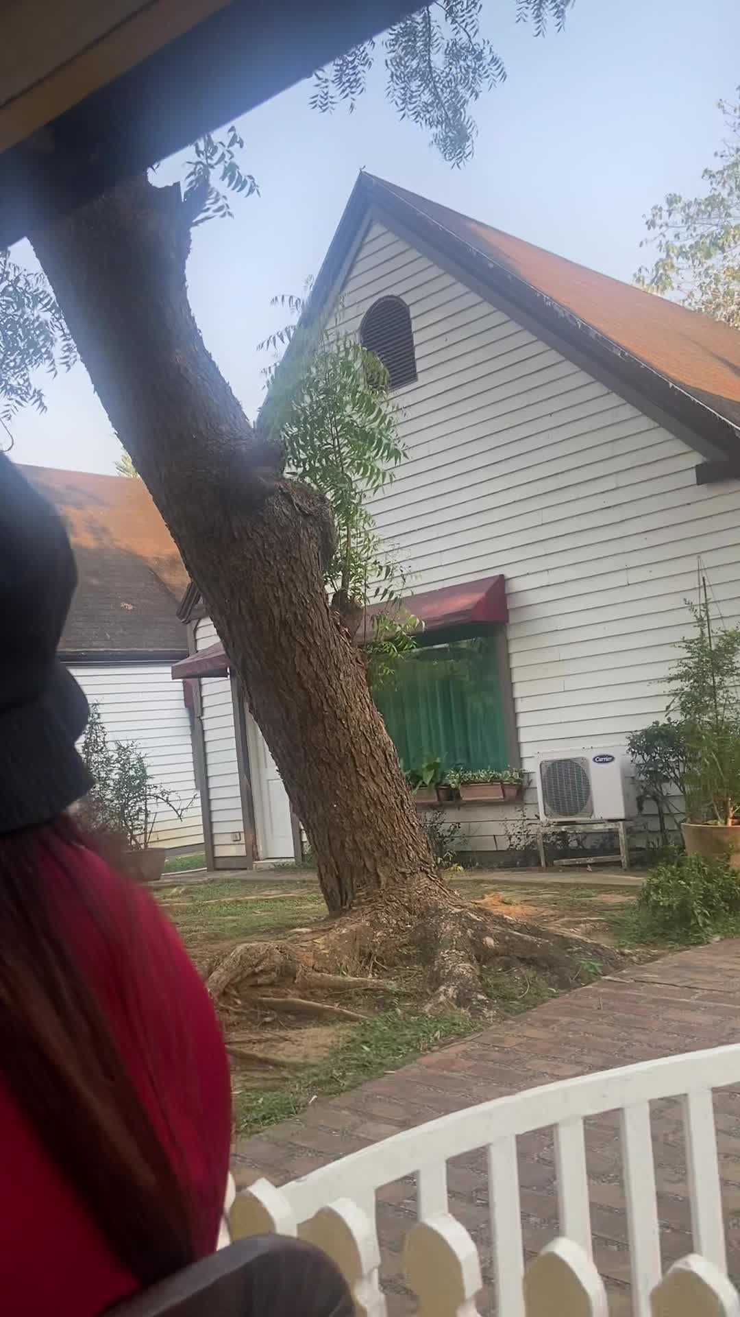 Video review of The Greenery