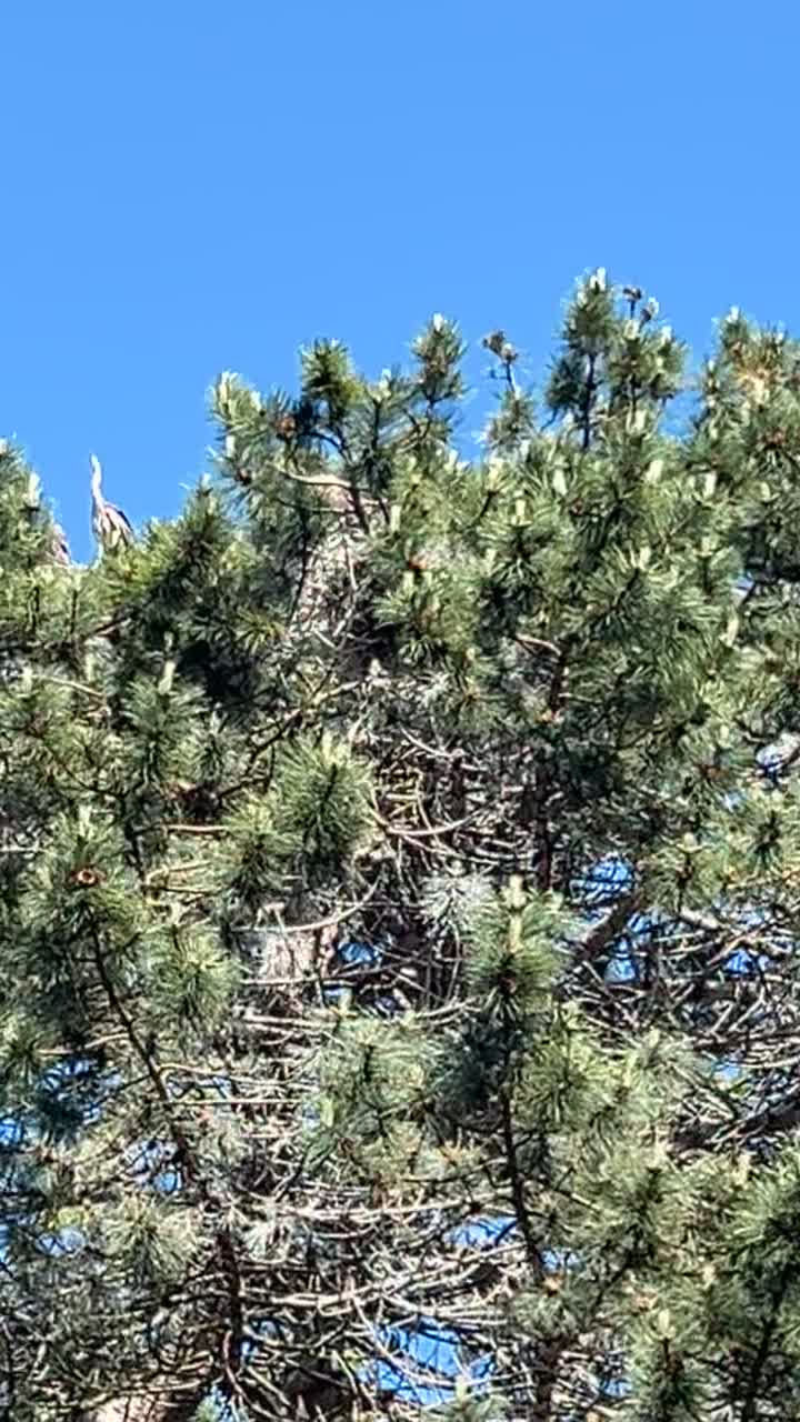 Percival Landing Park