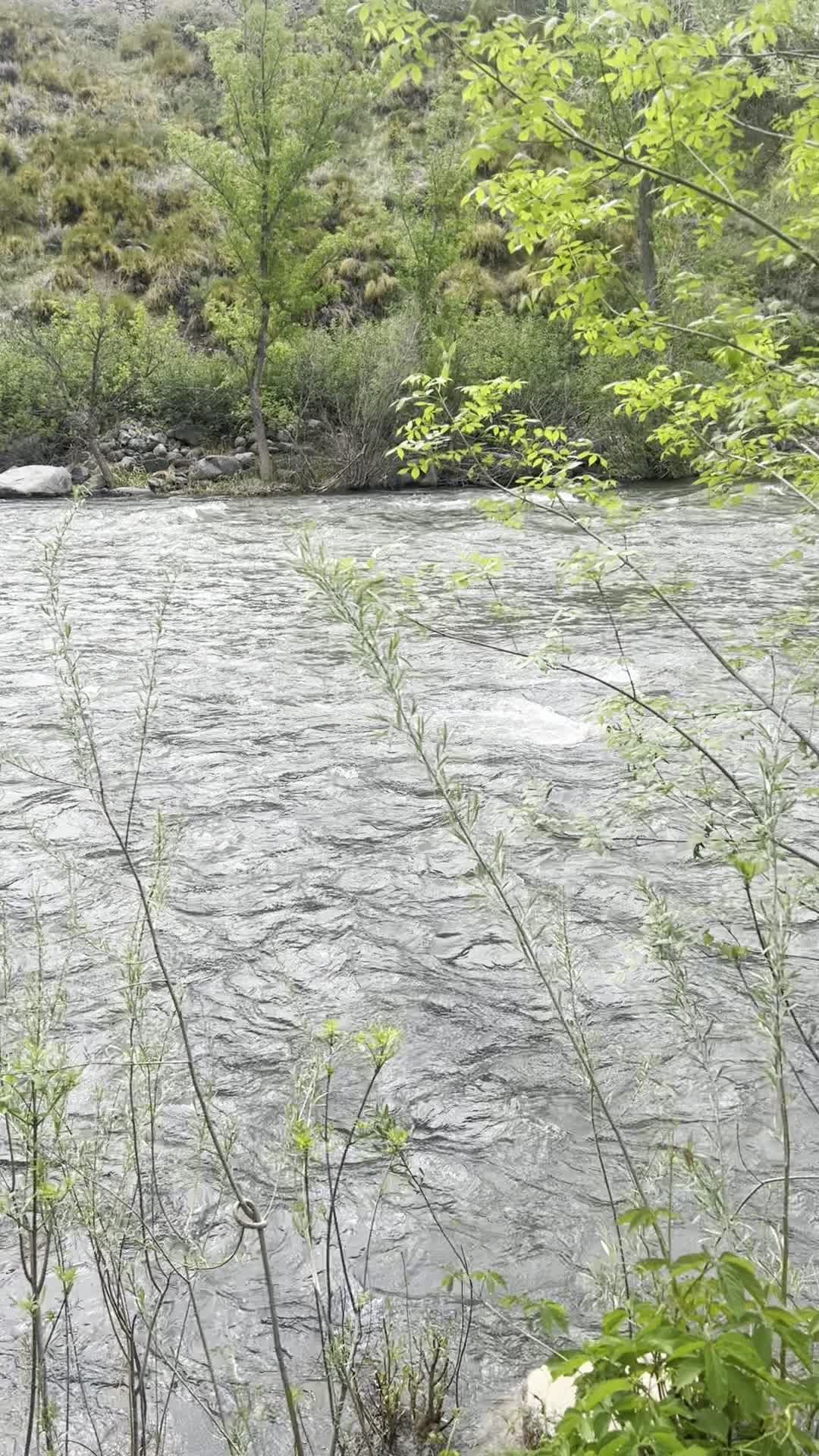 BJ's Restaurant & Brewhouse