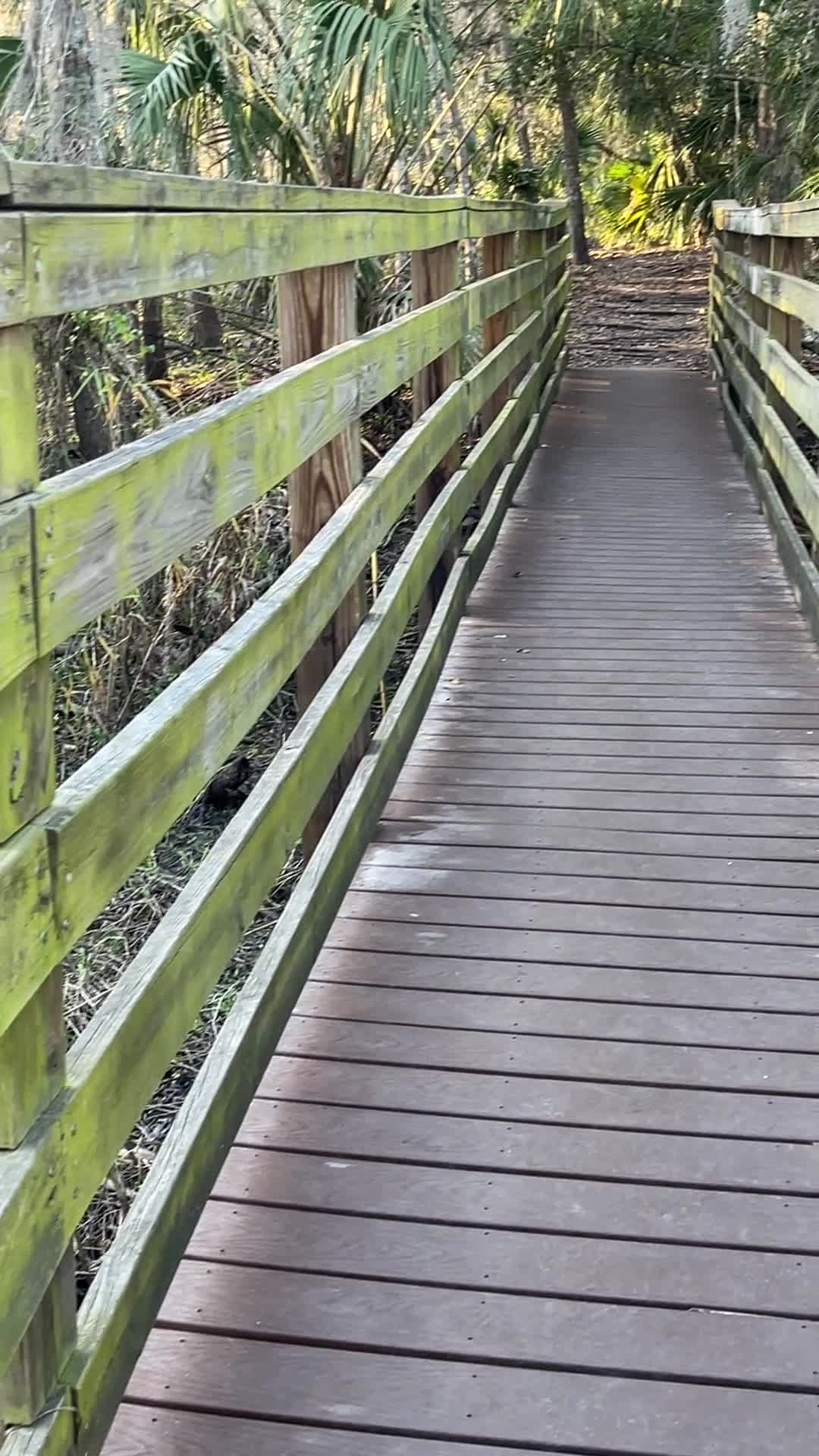 Video review of Blackbear Wilderness Area