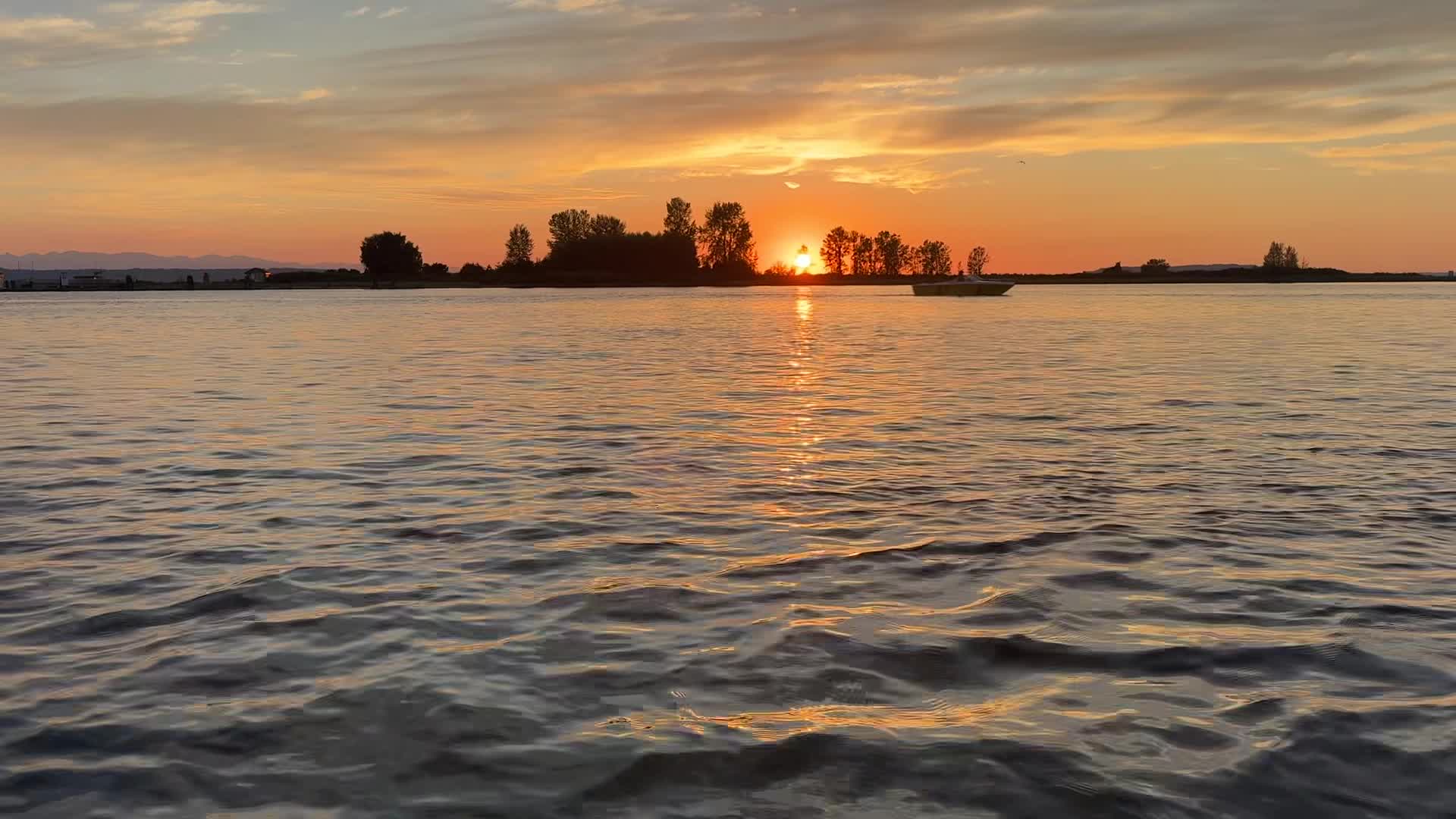 Video review of Everett Marina