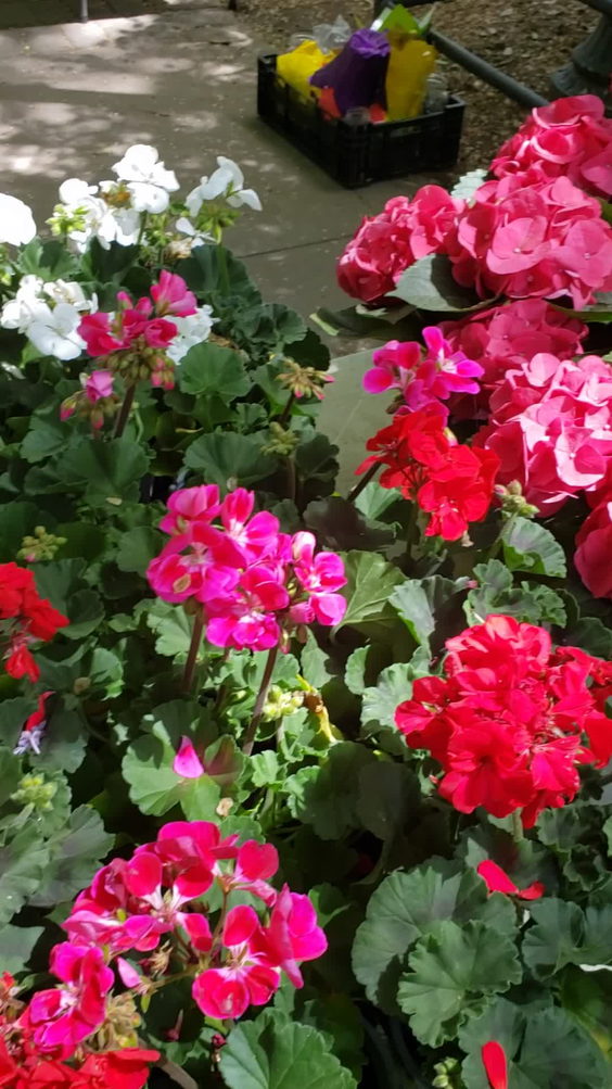 Van Vorst Park Farmers Market