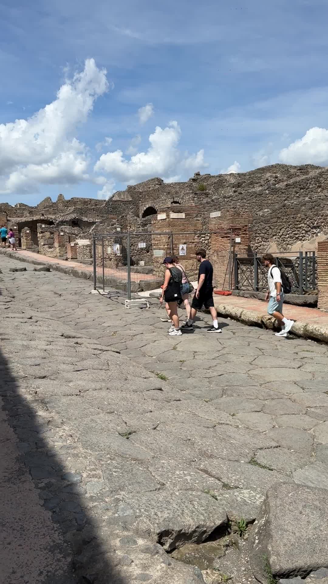 Pompeii Archaeological Park (Area Archeologica di Pompei)