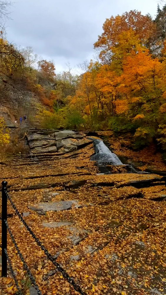 Cascadilla Gorge
