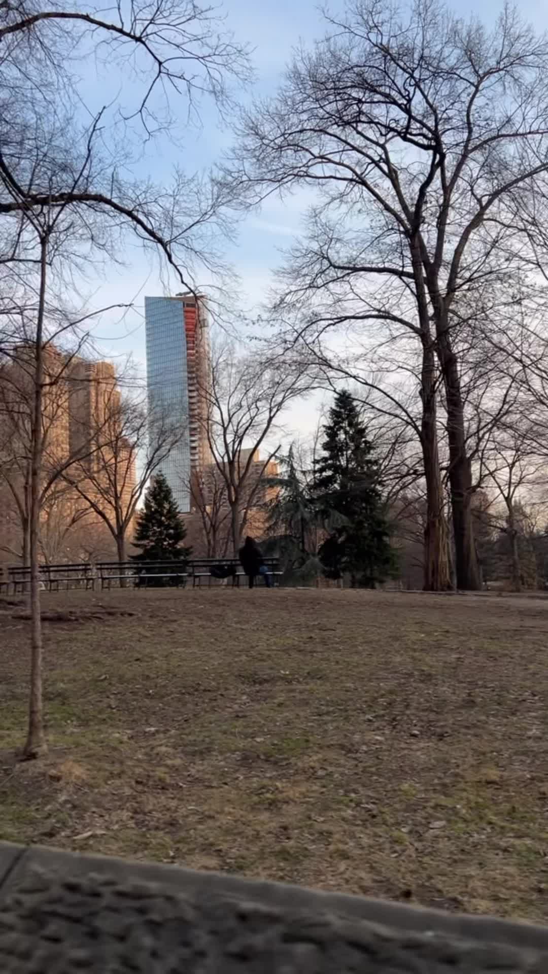Central Park