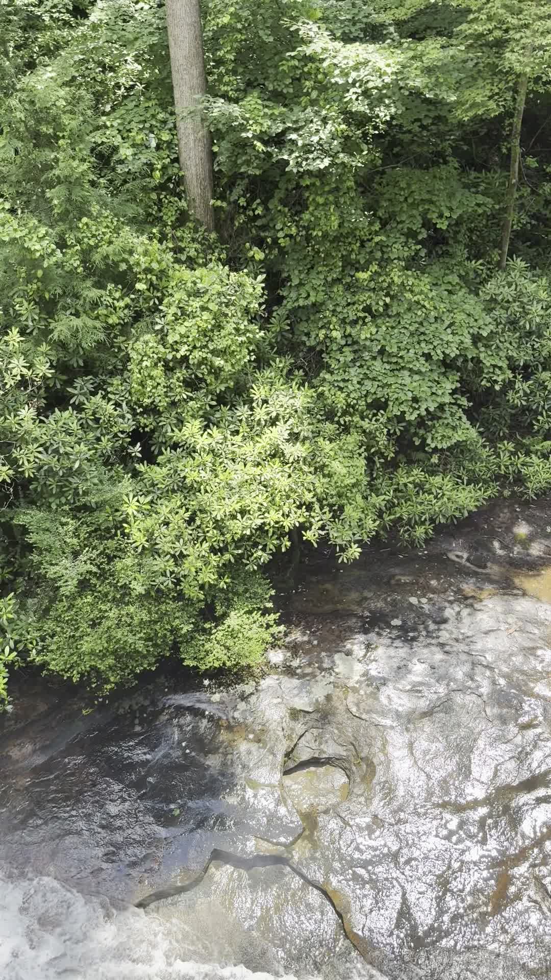 Video review of Fallingwater