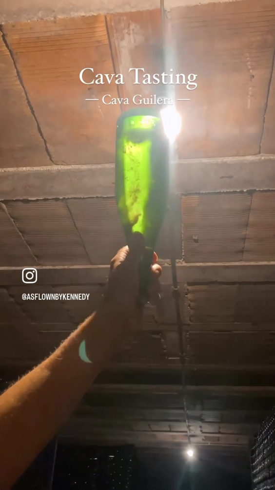 Cava Guilera