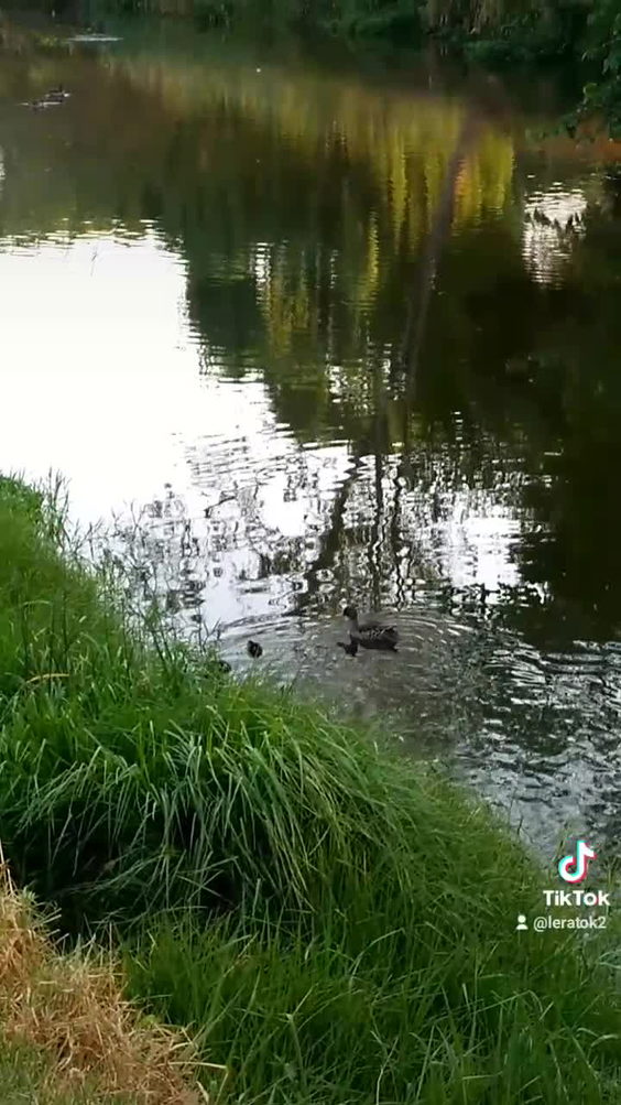 Juskei Park 1