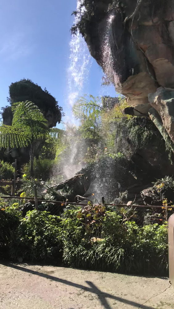Avatar Flight of Passage