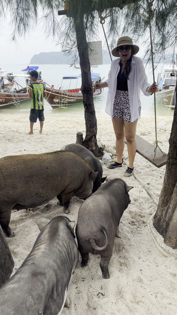Pig Island