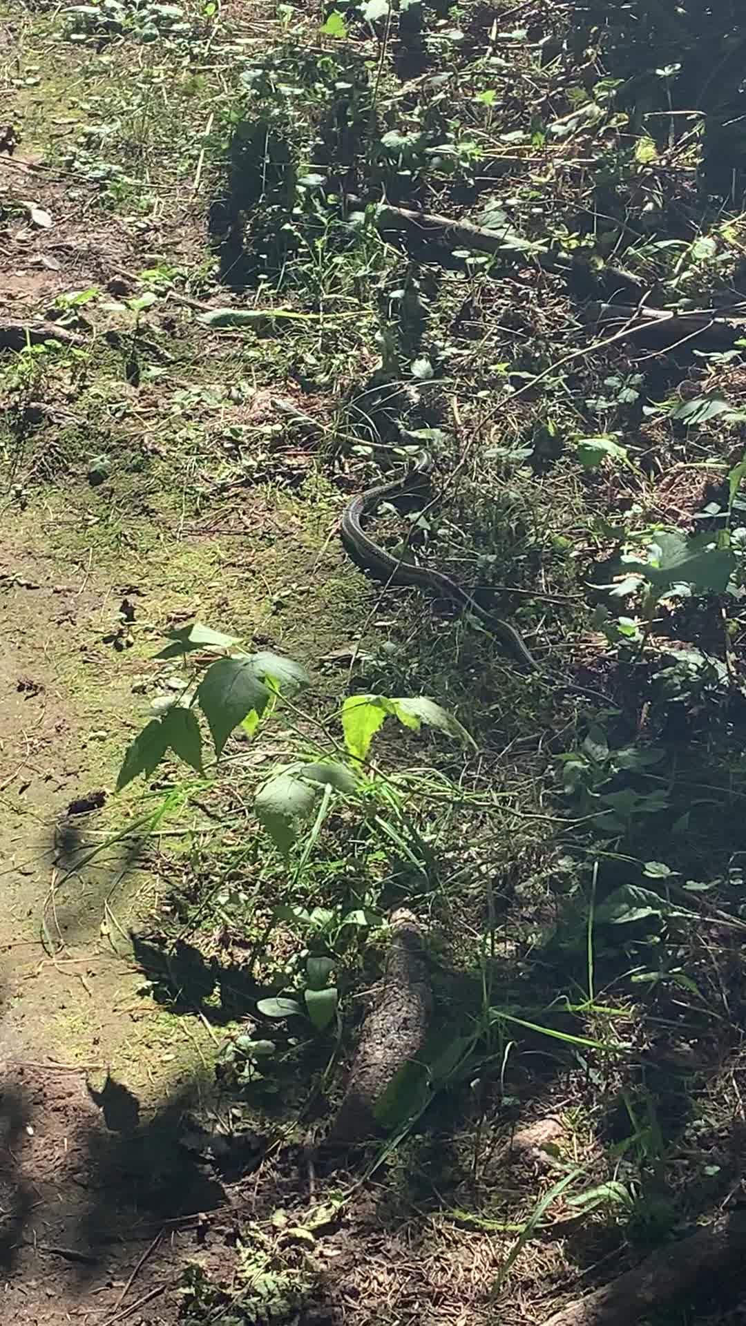 Rattlesnake Point Conservation Area
