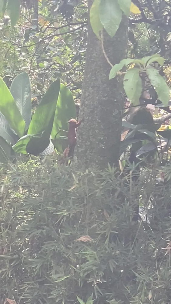 Parque Ambiental La Frontera