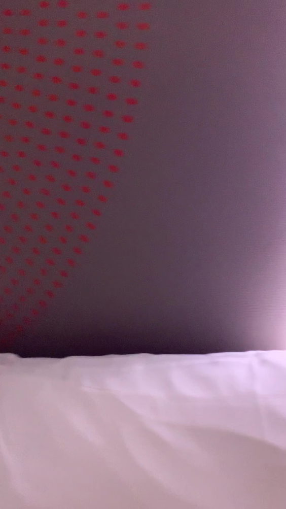 Sheraton Ottawa Hotel