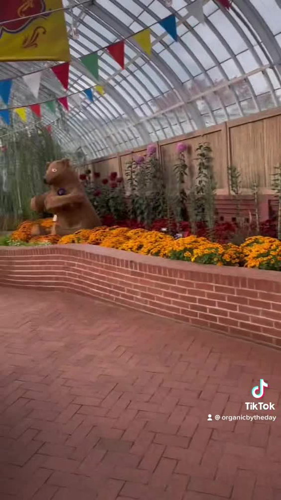 Phipps Conservatory and Botanical Gardens