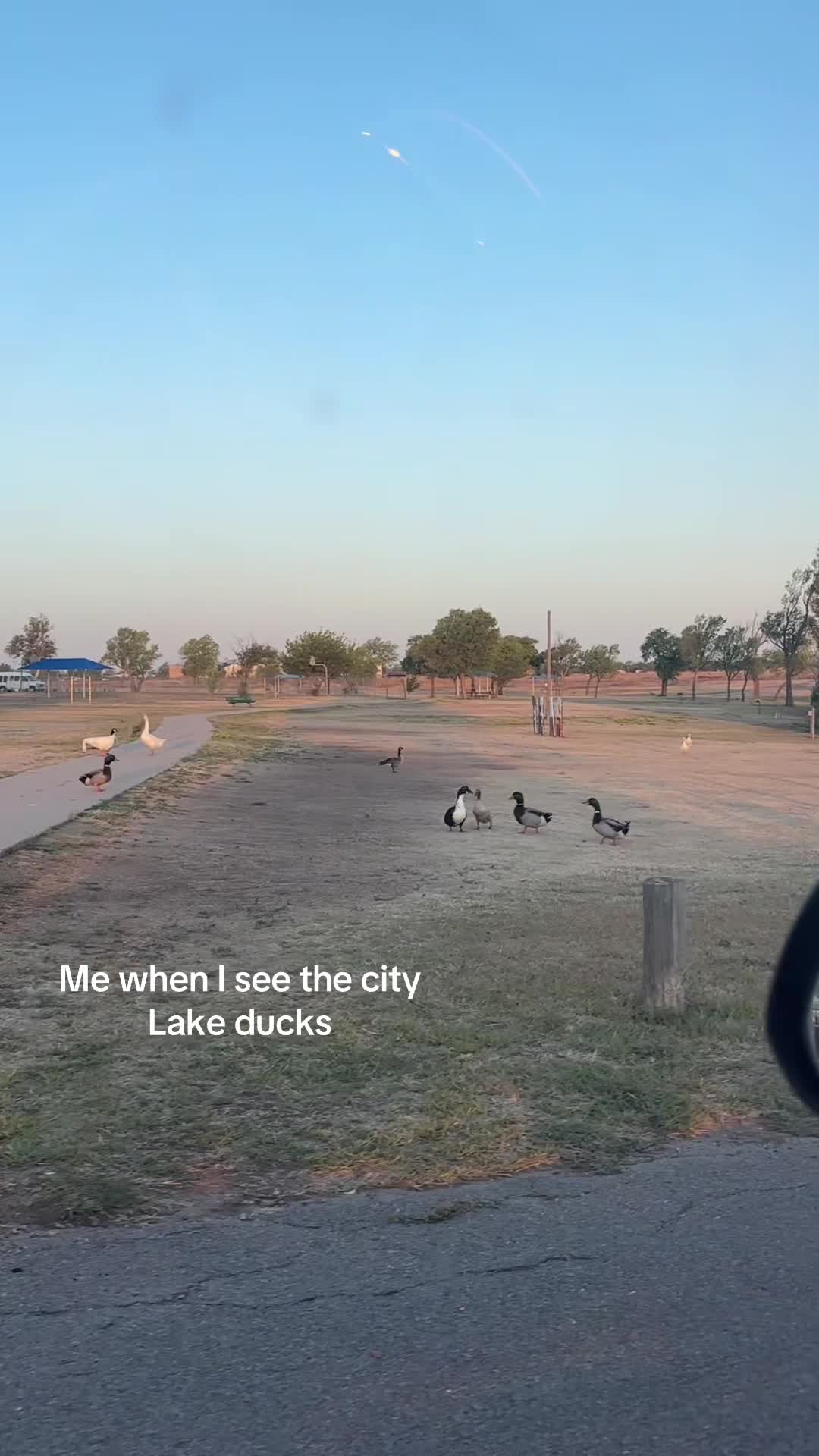 Lake & Playground