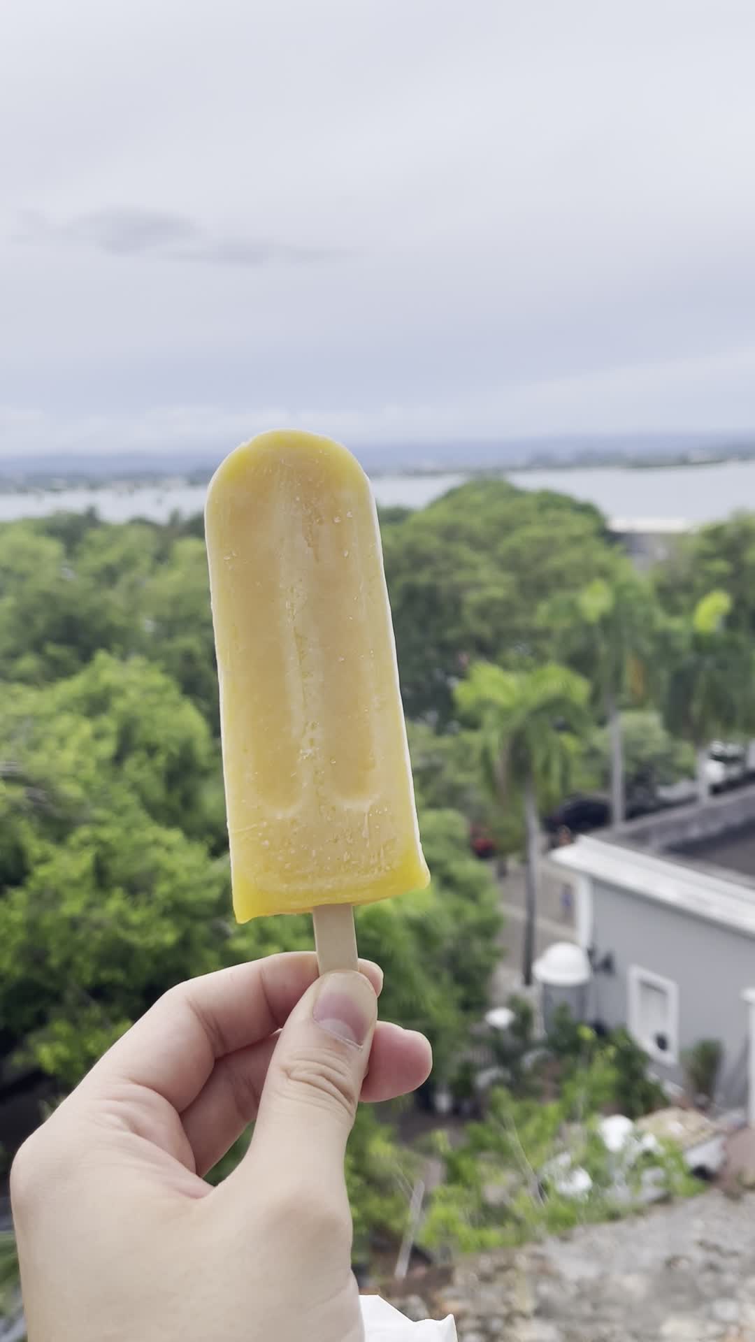 Video review of Señor Paleta