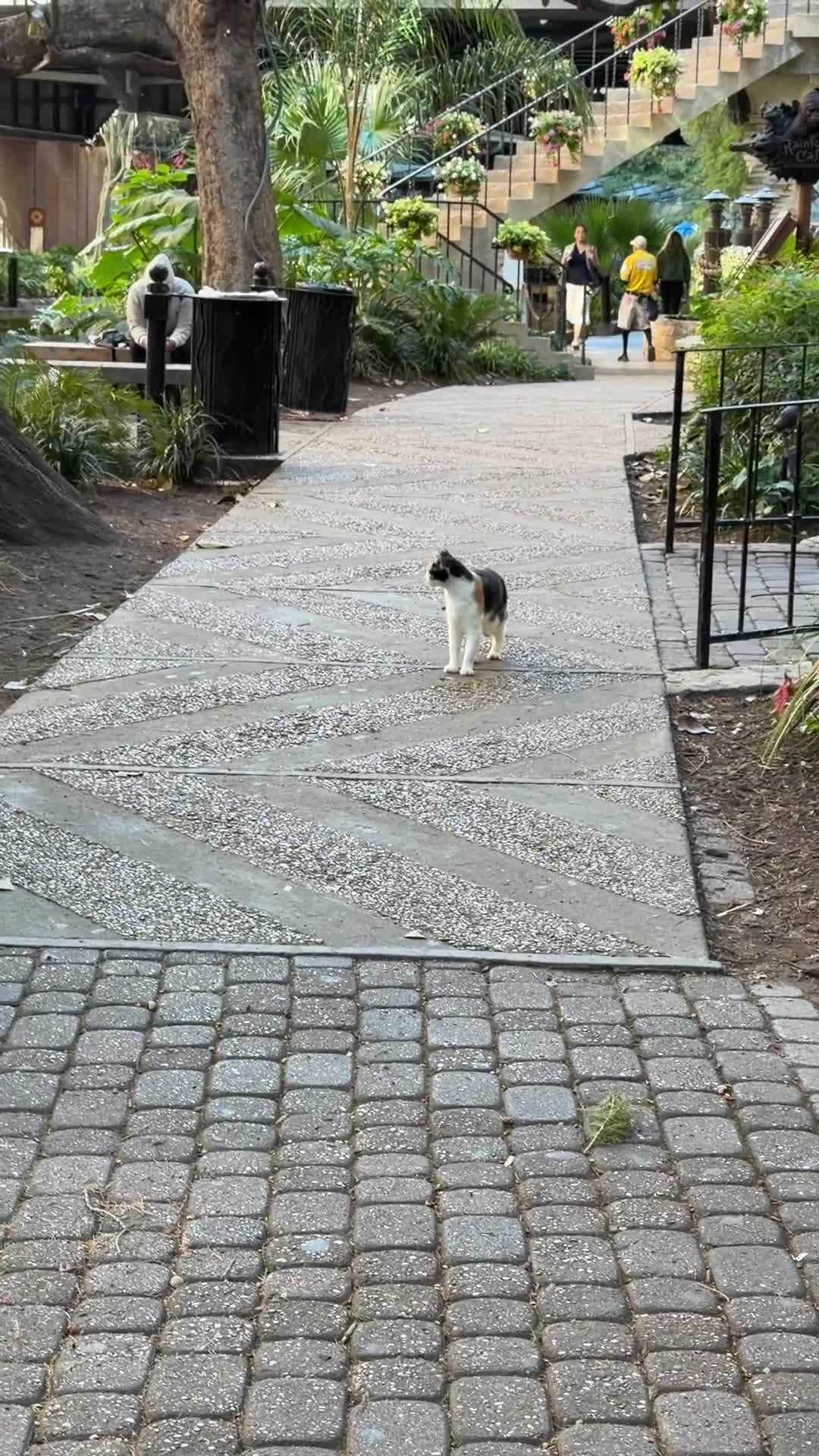The San Antonio River Walk