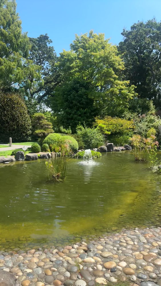 San Mateo Japanese Garden