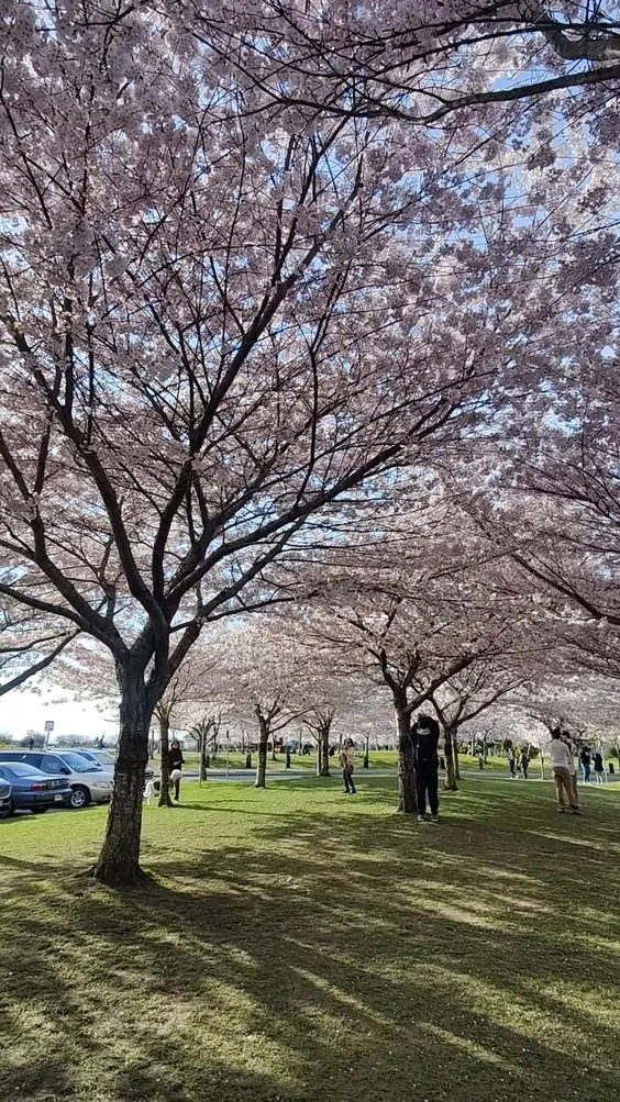 Garry Point Park