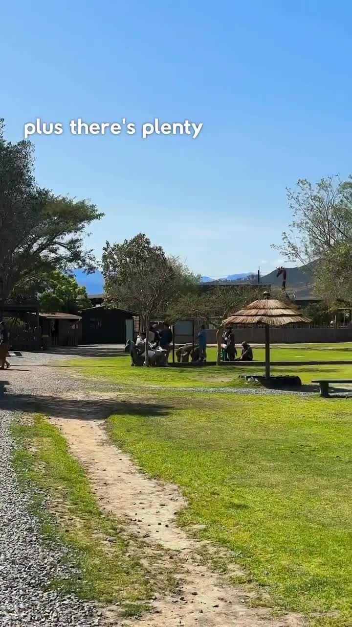 Giraffe House