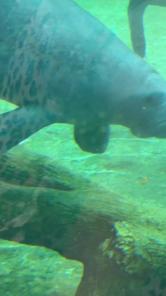 Jacksonville Zoo