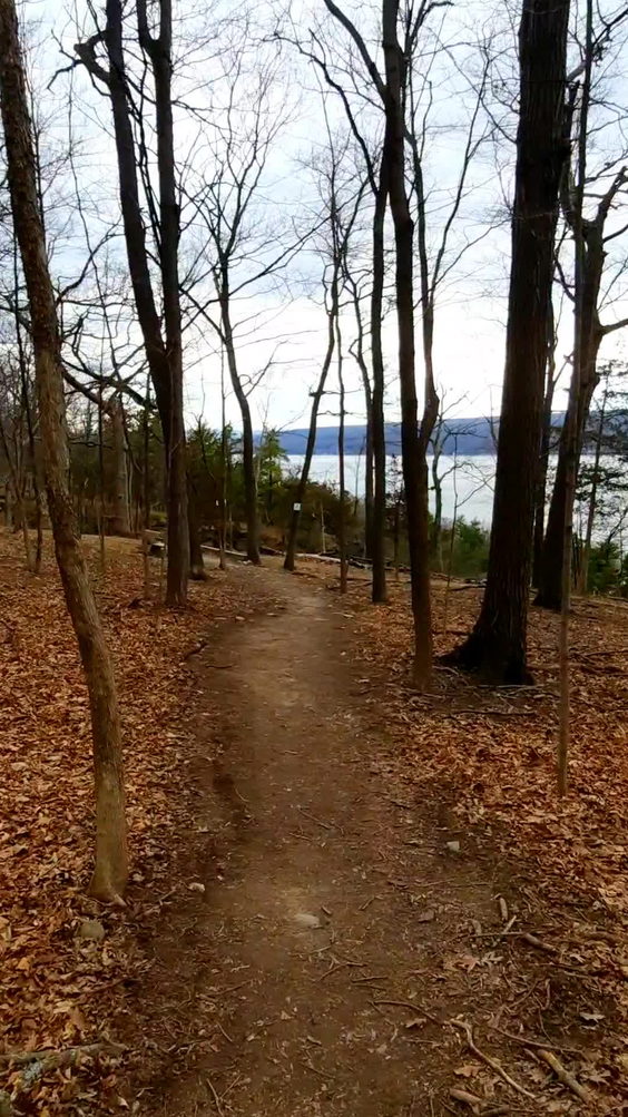 Sims-Jennings Preserve at Cayuga Cliffs