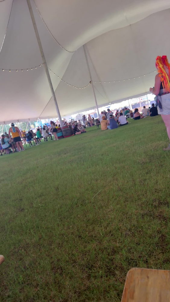 Bonnaroo Music Festival