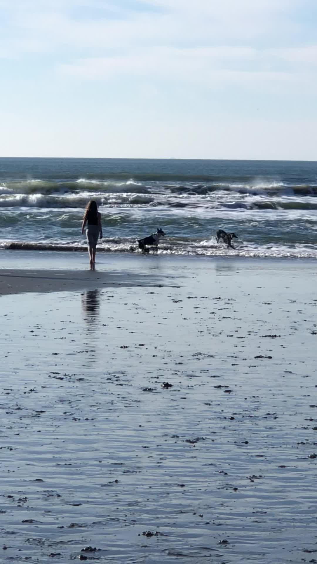 Fort Funston Beach Walk
