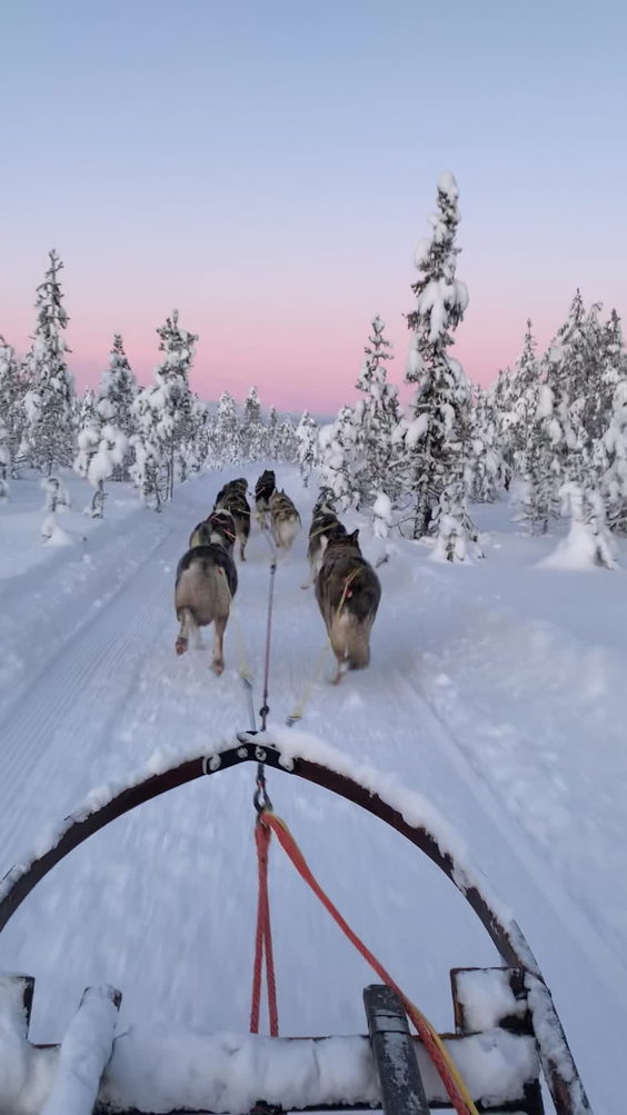 Wild Sweden