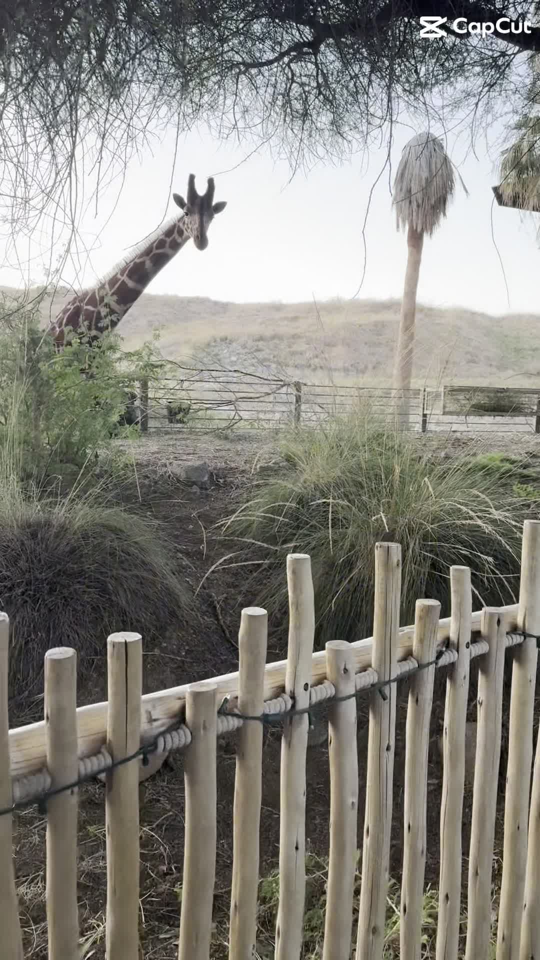 The Living Desert Zoo & Botanical Gardens