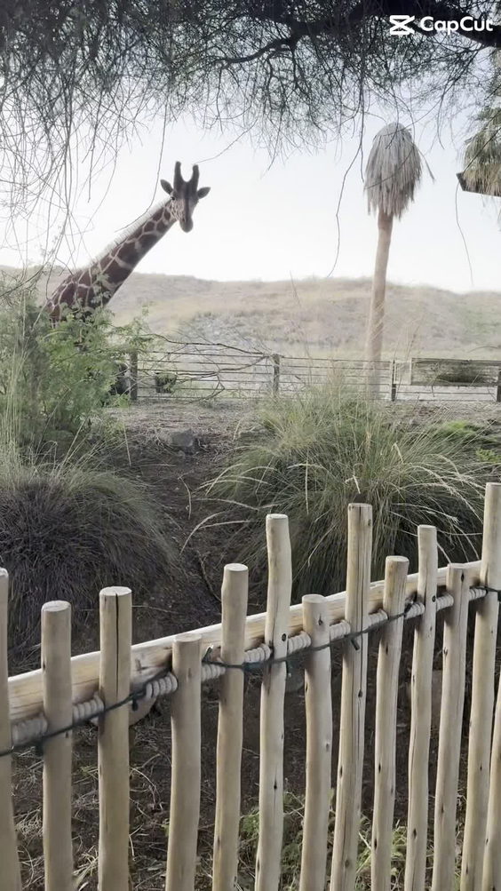 The Living Desert Zoo & Botanical Gardens