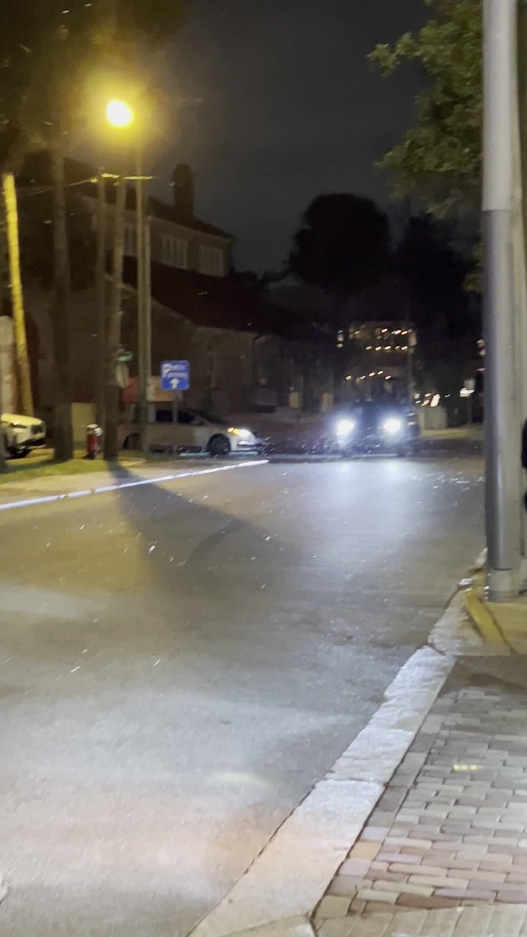 Video review of Scarlett O'Hara's