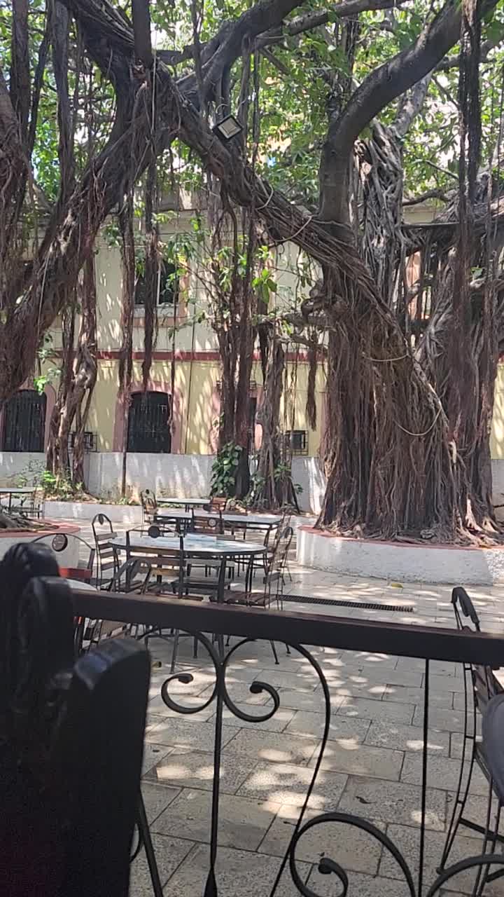 El Cochinito