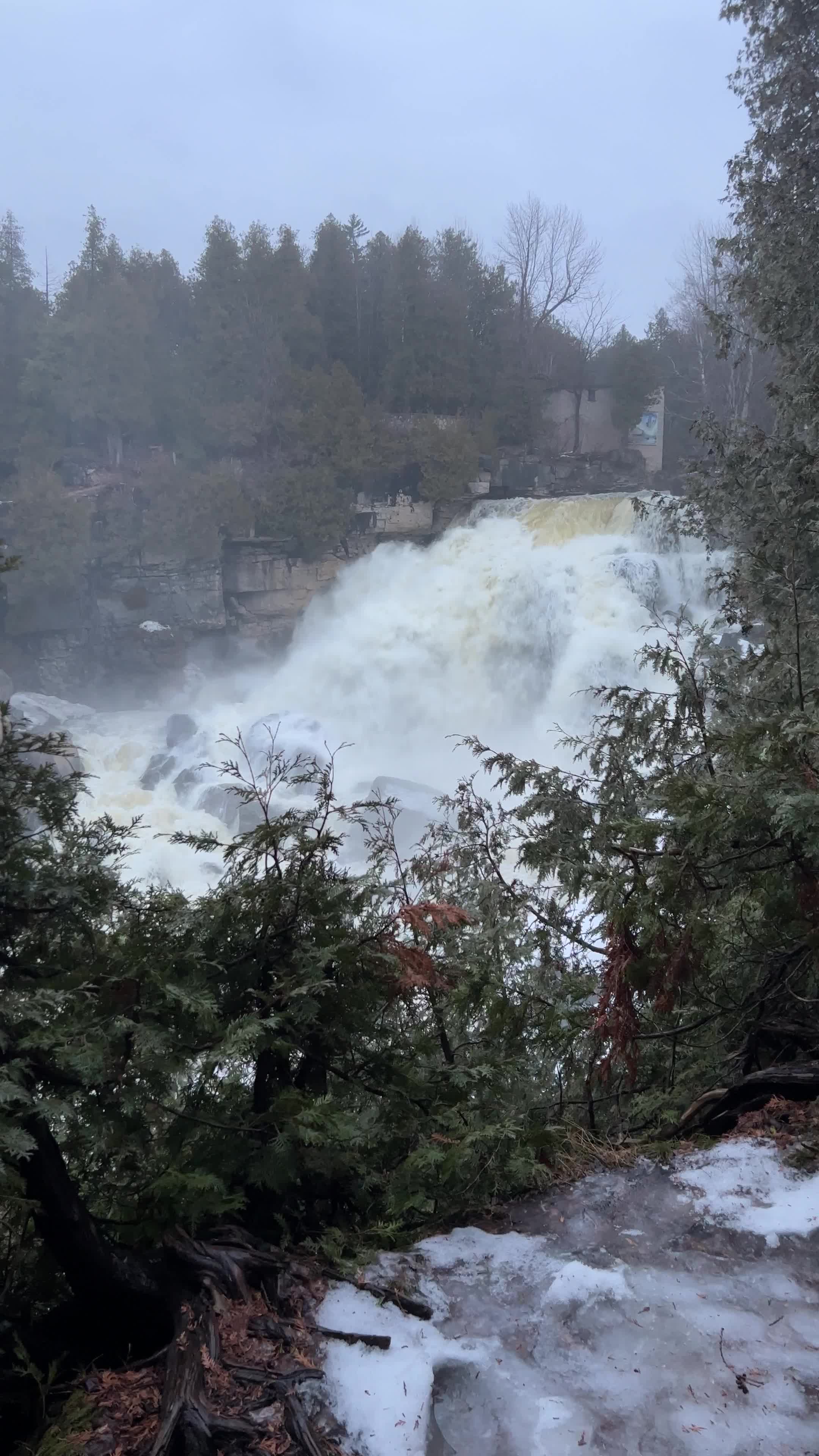 Inglis Falls Conservation Area