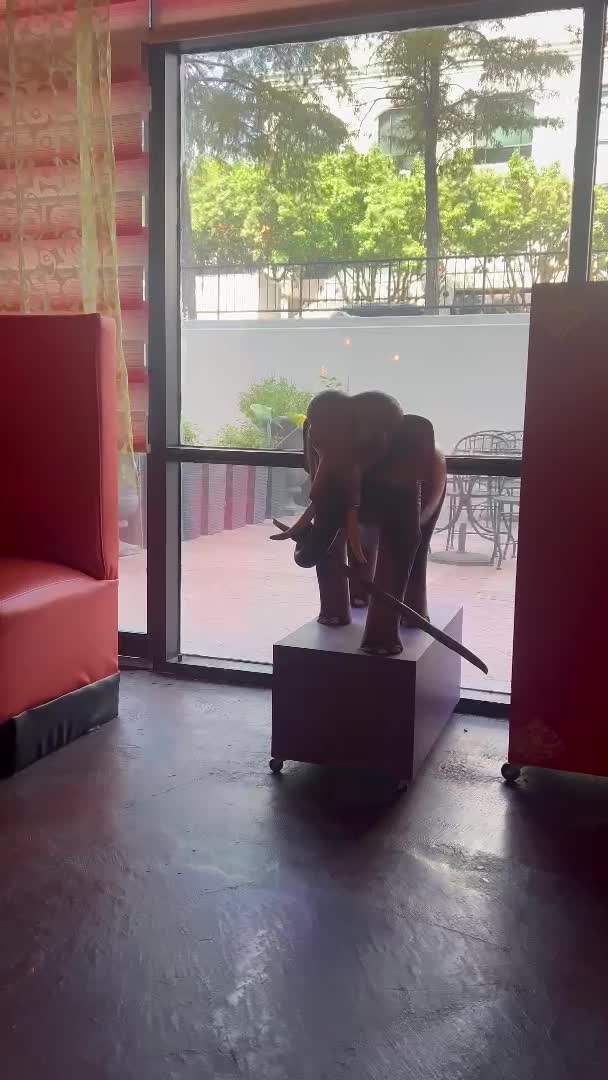 Video review of Si Lom Thai Asian Fusion