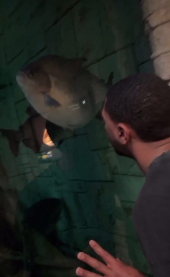 Shark Reef Aquarium