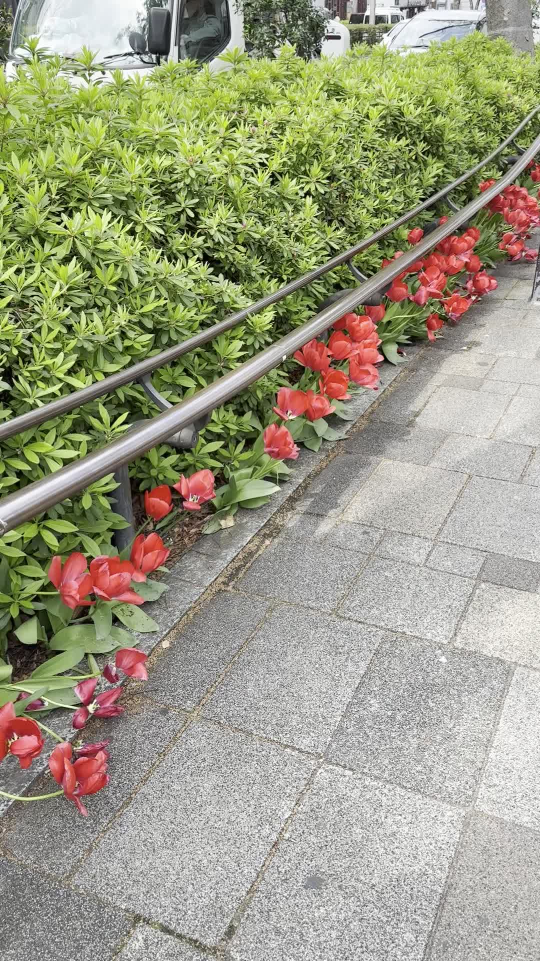 Video review of Omotesando Hills (表参道ヒルズ)