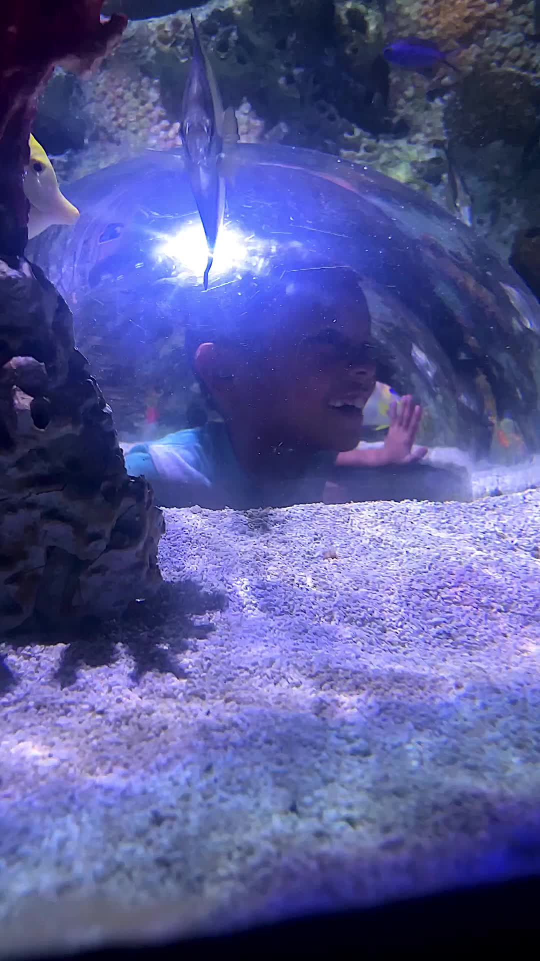 The Westin Kansas City at Crown Center