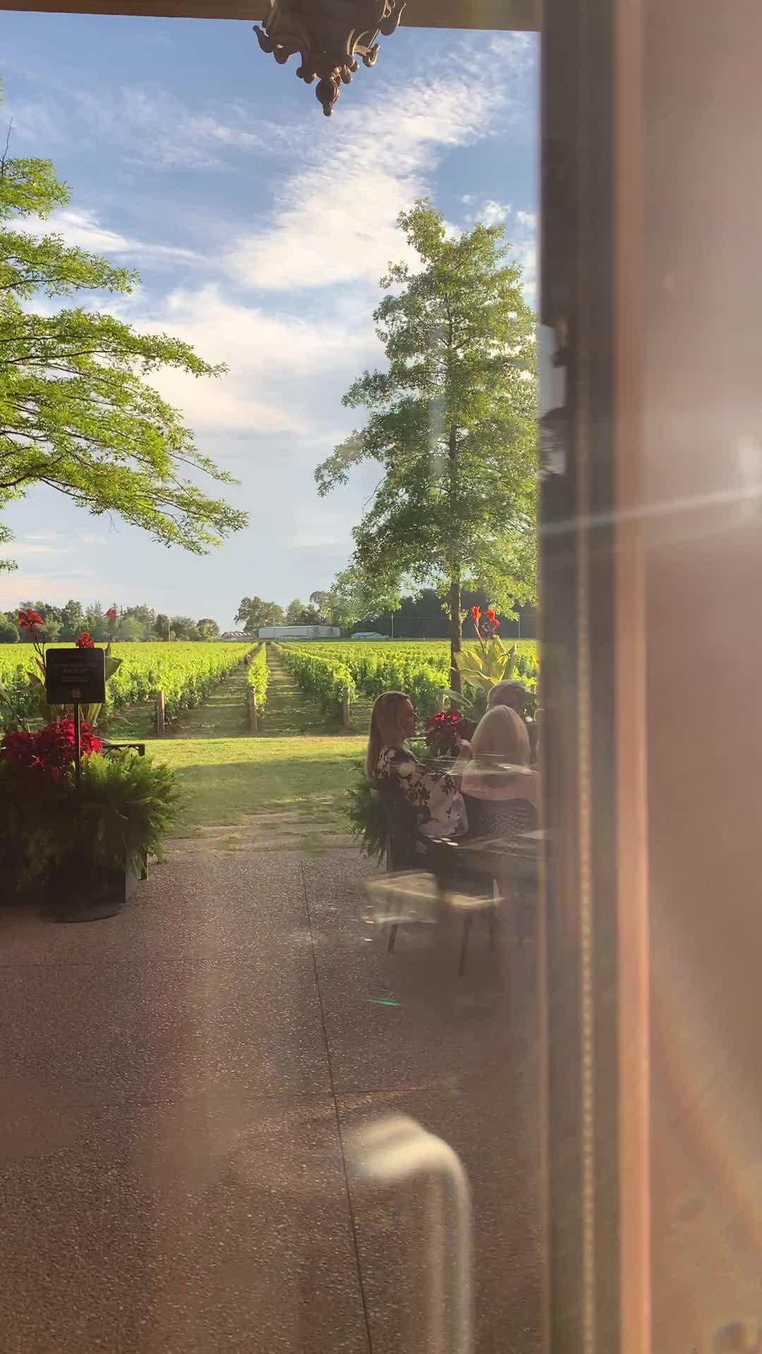 Two Sisters Vineyards