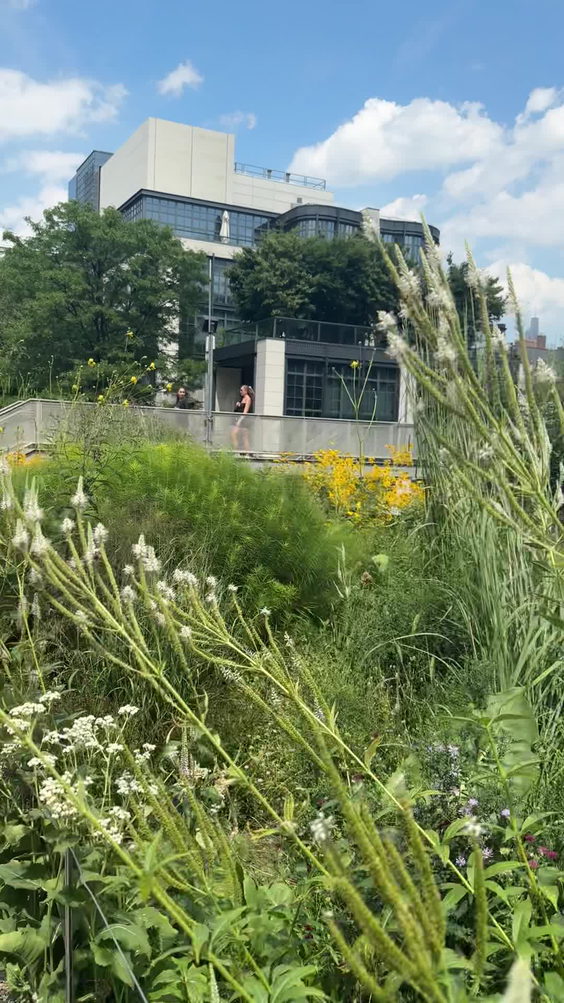 The Highline park