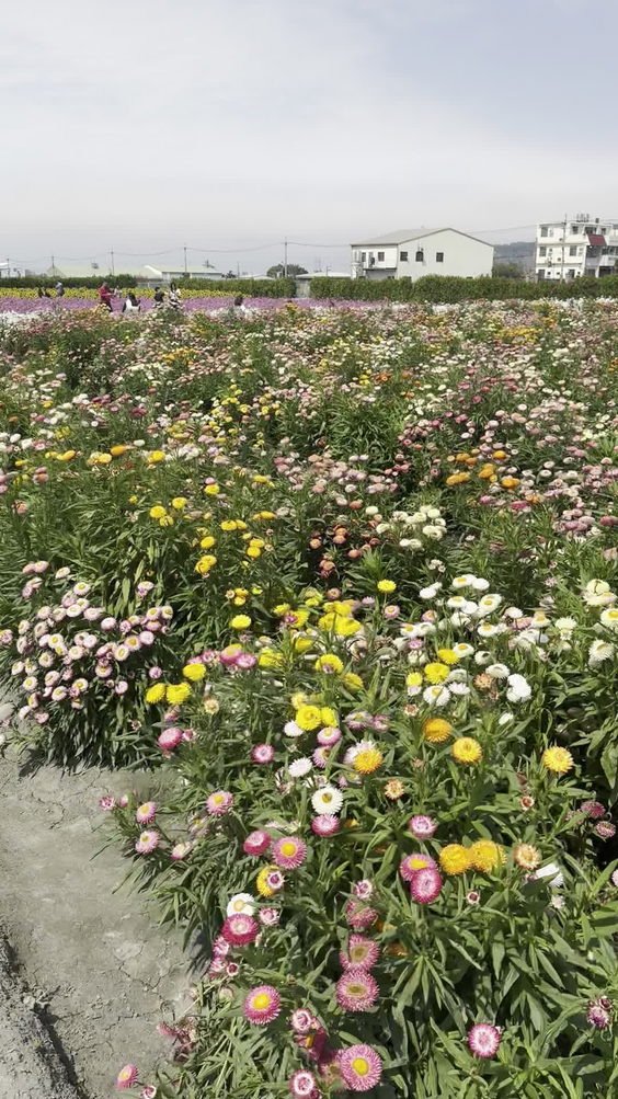 Zhongshe Flower Market