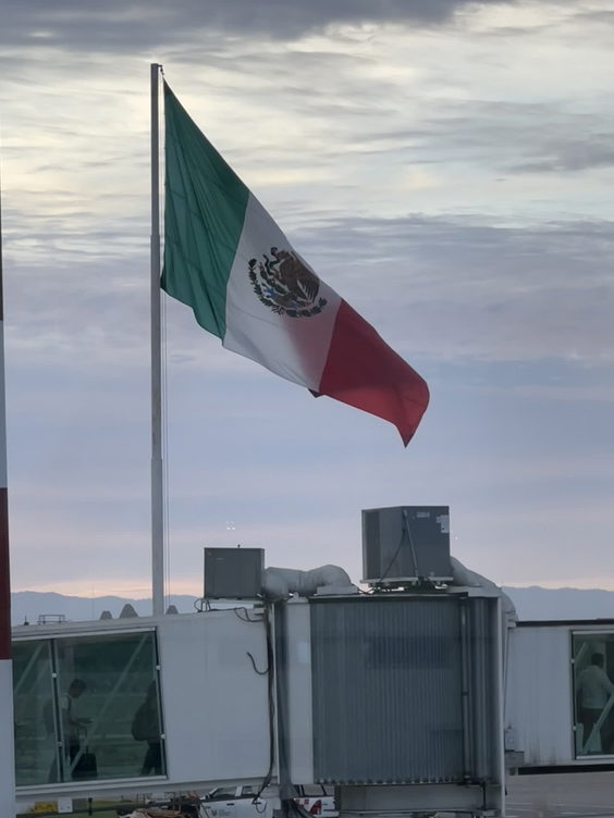 Licenciado Gustavo Díaz Ordaz International Airport