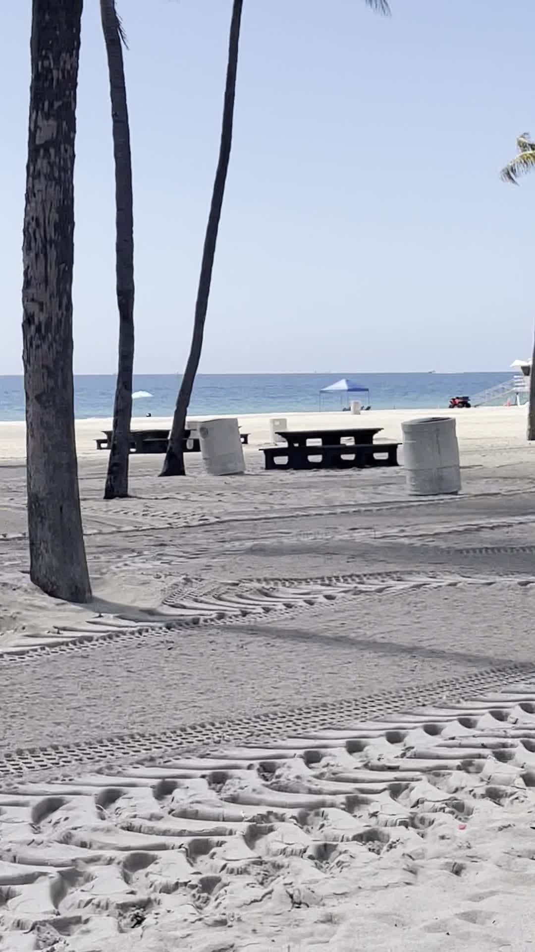 Video review of Fort Lauderdale Beach