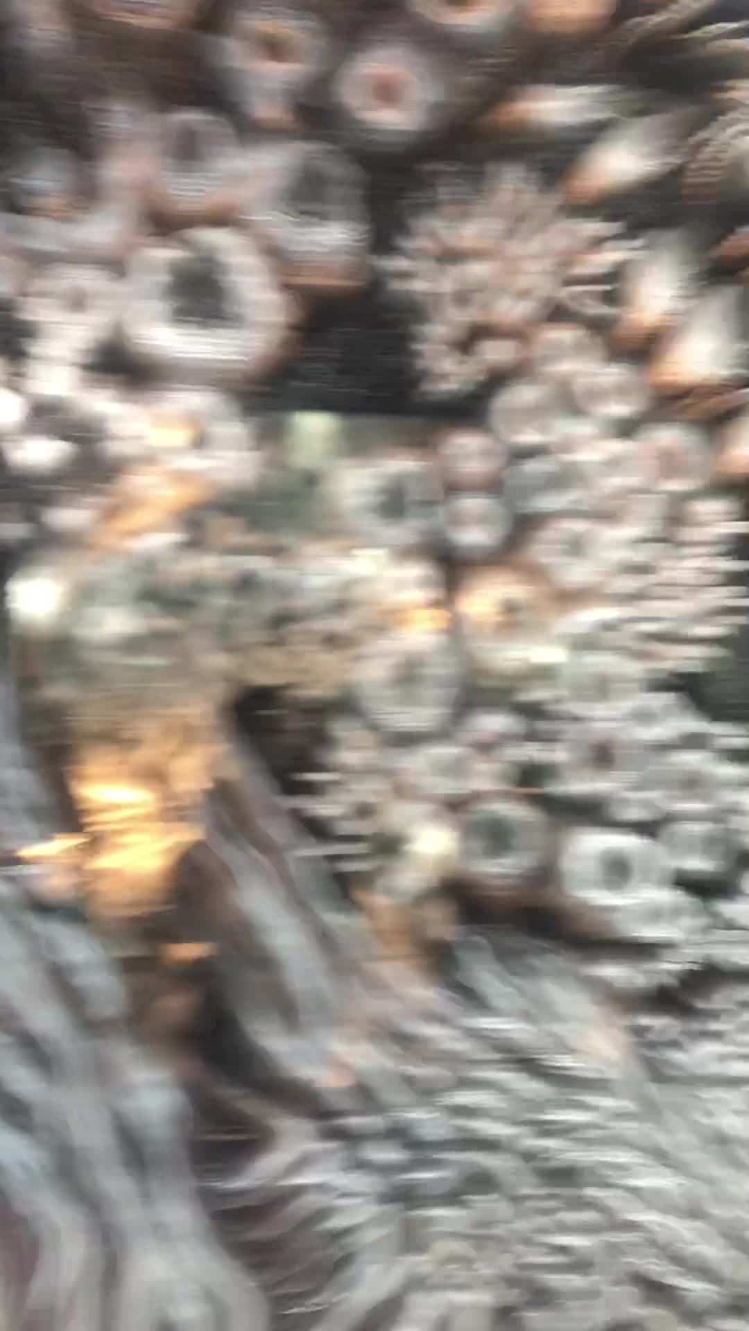 Video review of Meow Wolf: Omega Mart