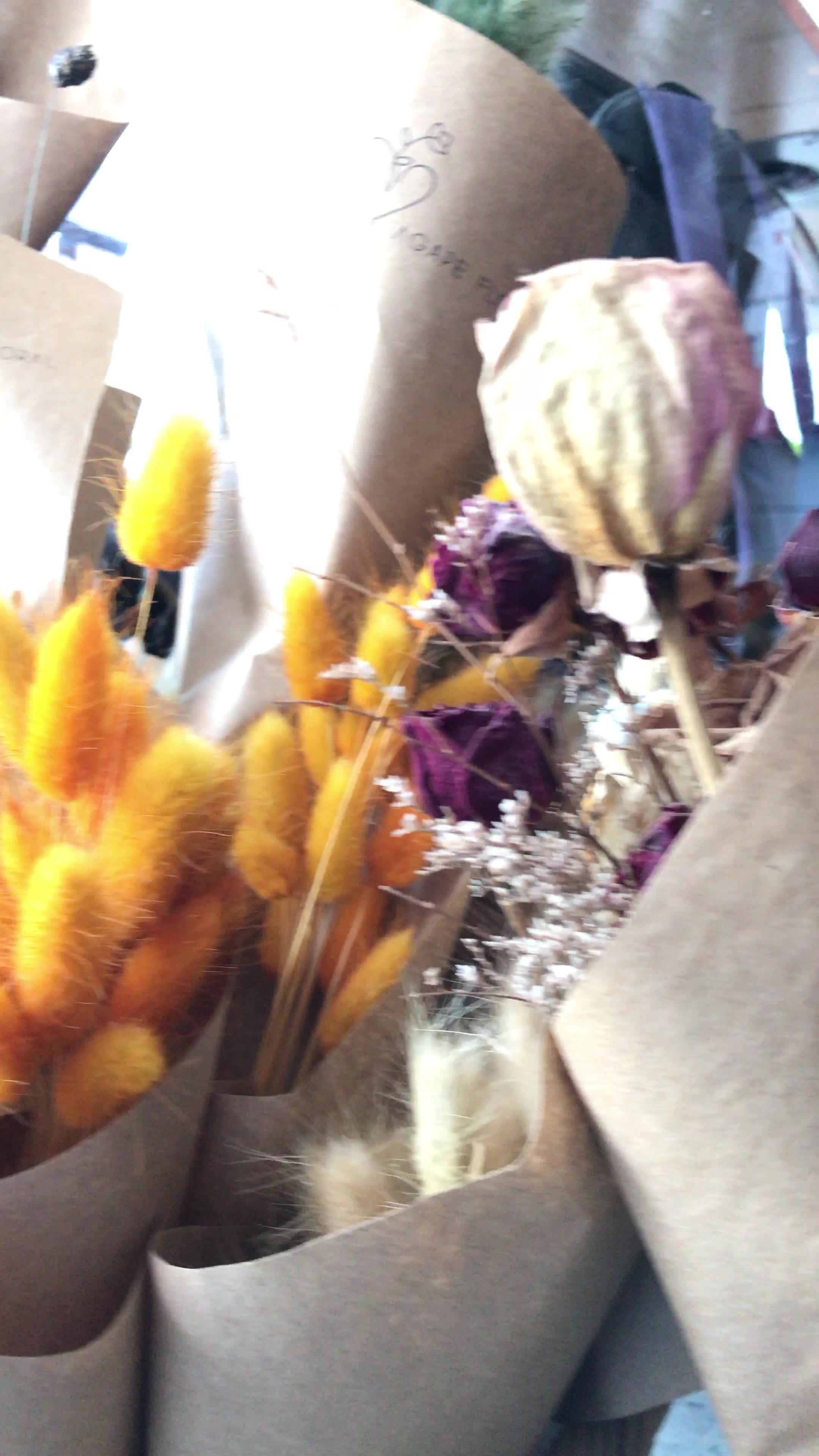 Video review of Elephant Grind Coffee